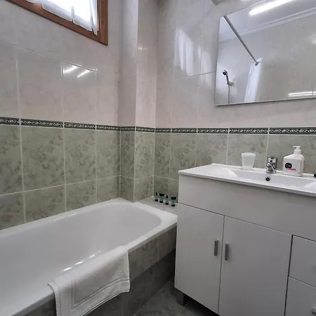 Urban Camelias * 比戈