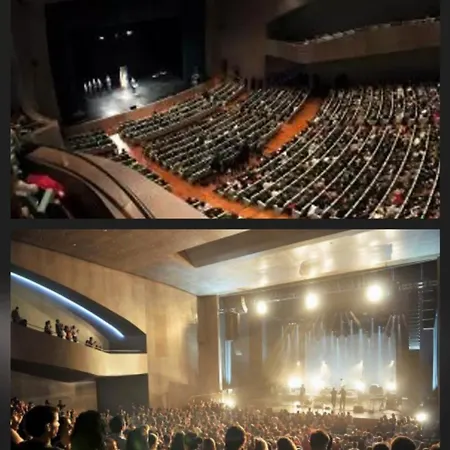 Urban Camelias * Βίγκο