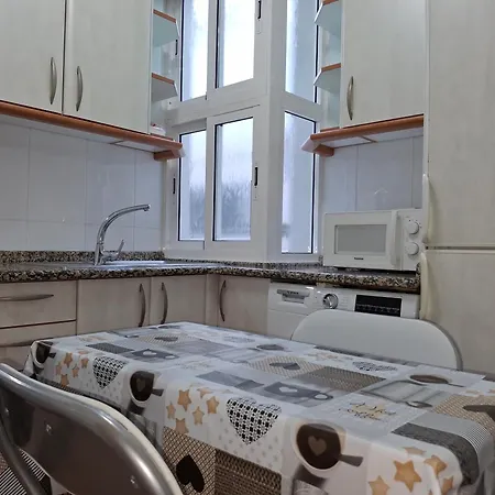 Urban Camelias 公寓 *