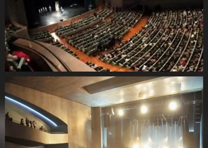 Urban Camelias * Vigo